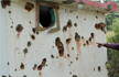 Pakistani troops shell border areas in Rajouri